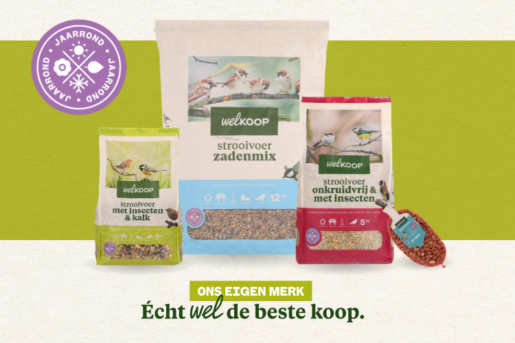 vogelvoer welkoop eigen merk